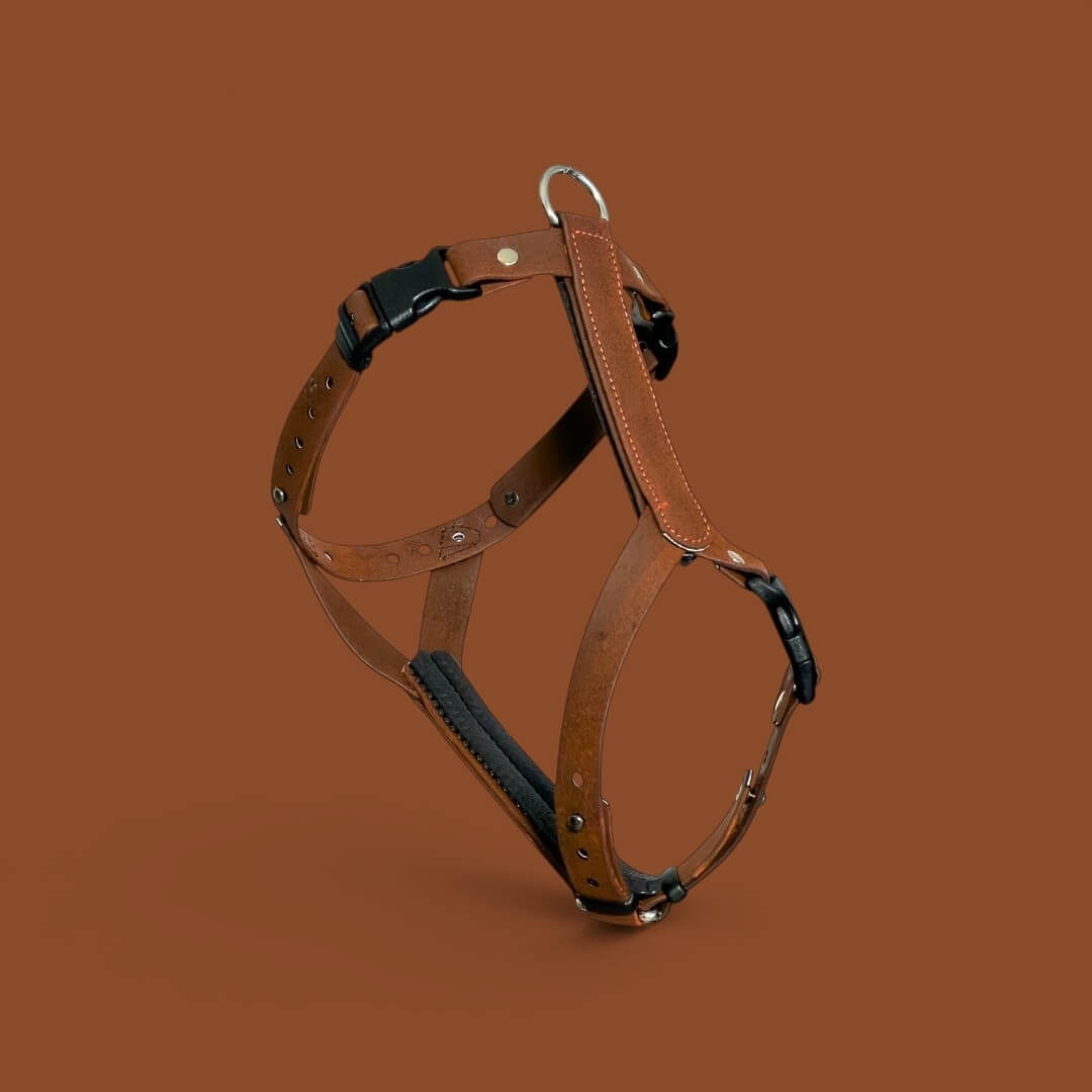ObiDog EasyFit -valjaat