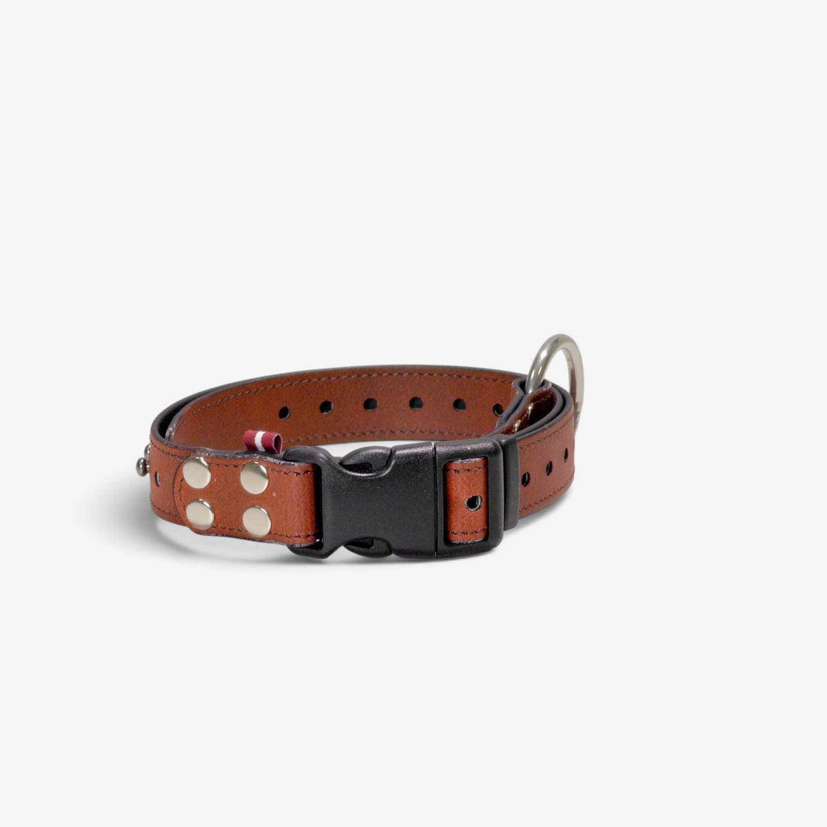 ObiDog EasyFit Collar