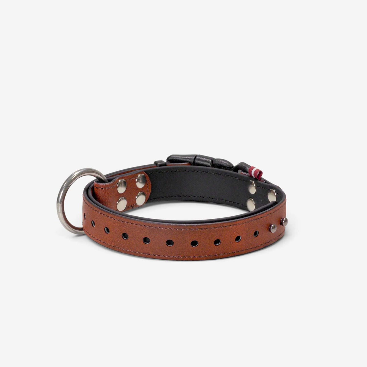 ObiDog EasyFit Collar