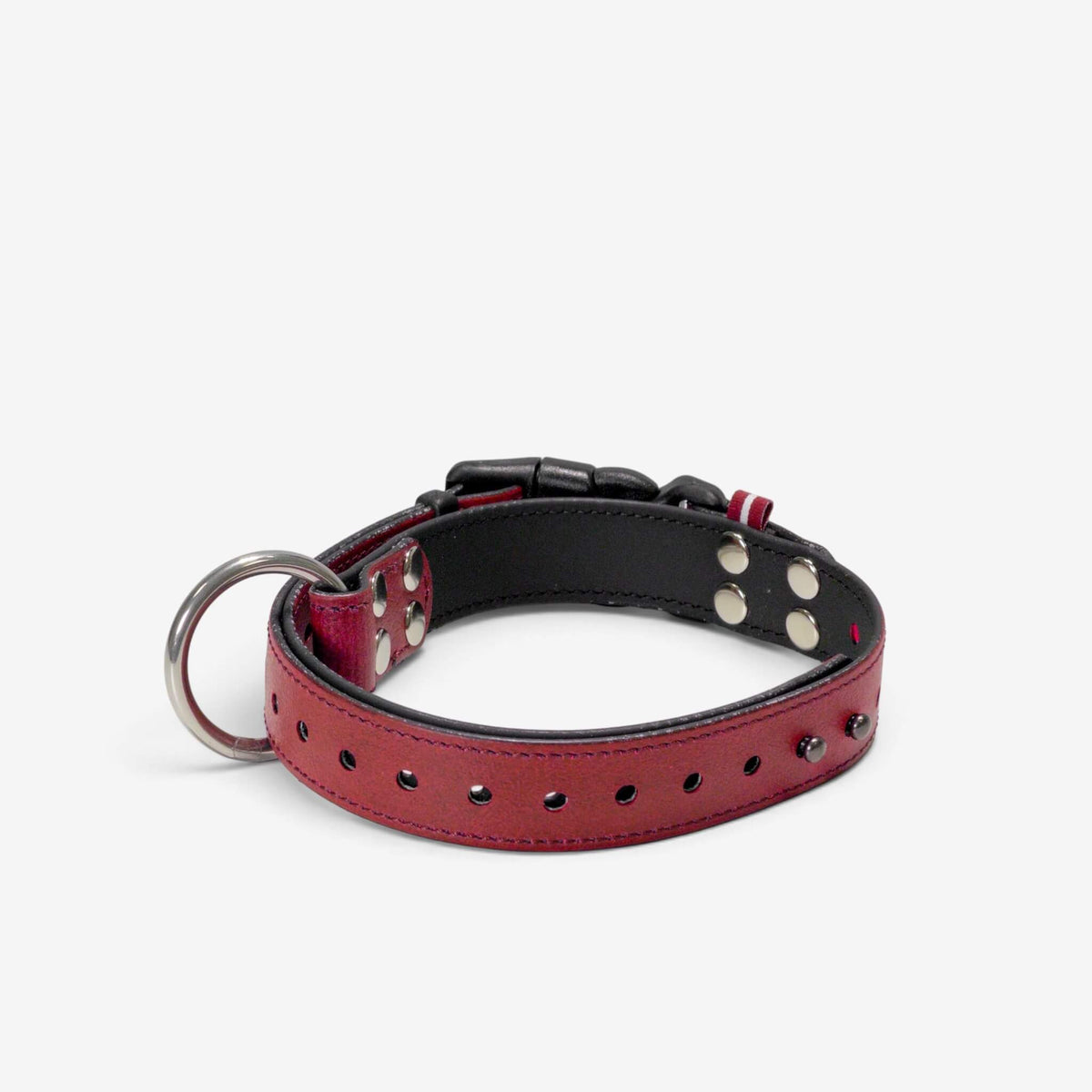 ObiDog EasyFit Collar