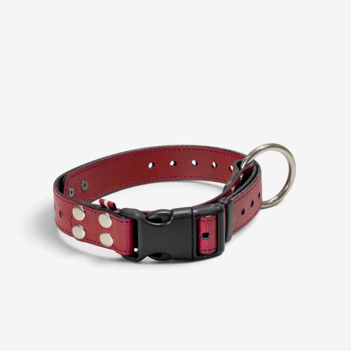 ObiDog EasyFit Collar
