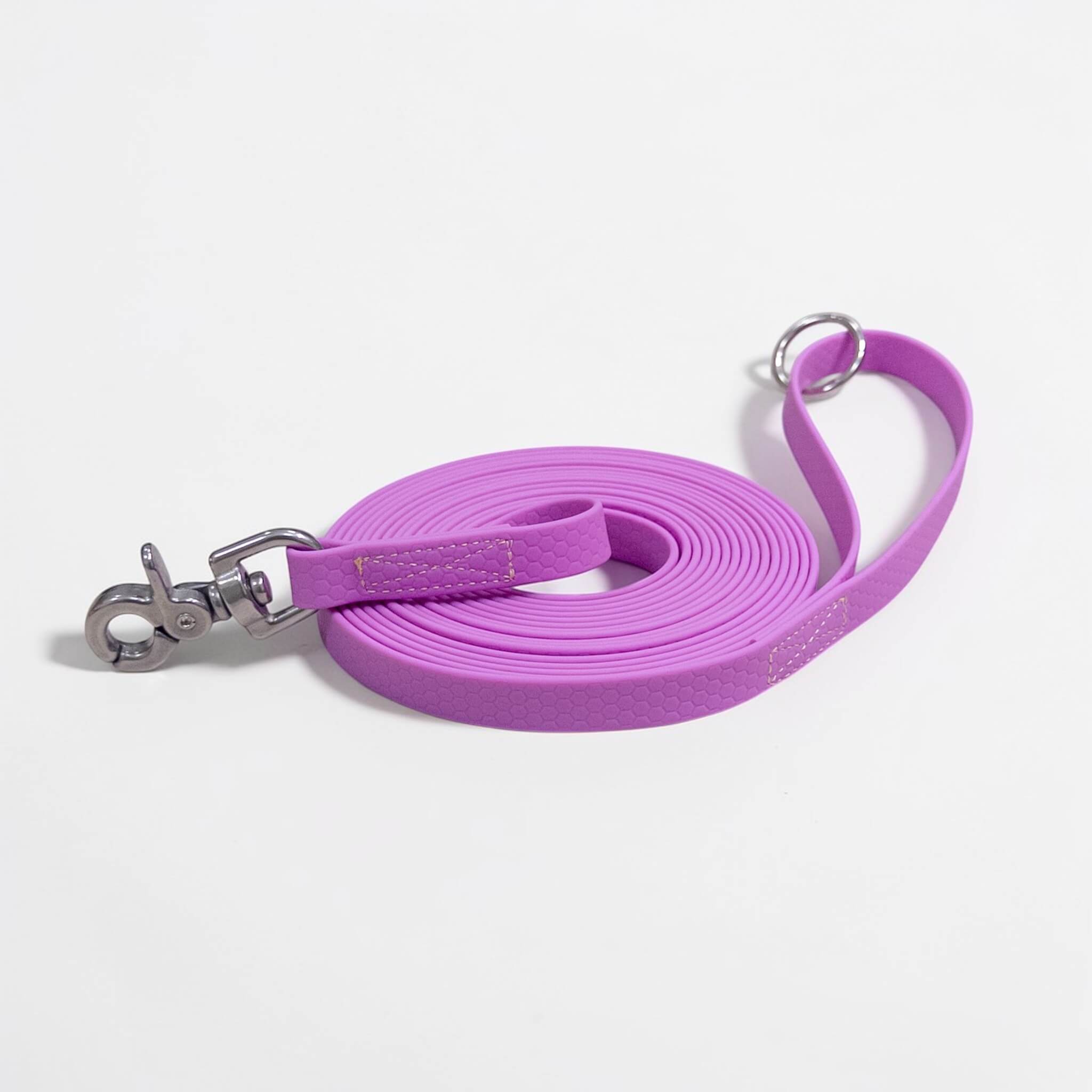 Hexa Dog Walking Leash