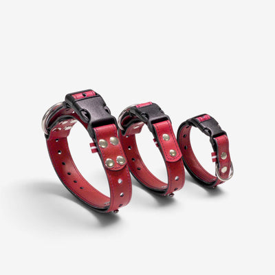 ObiDog EasyFit Collar