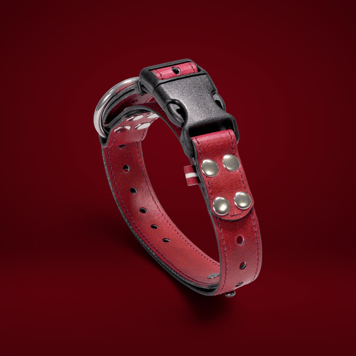 ObiDog EasyFit Collar
