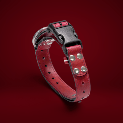 ObiDog EasyFit Collar