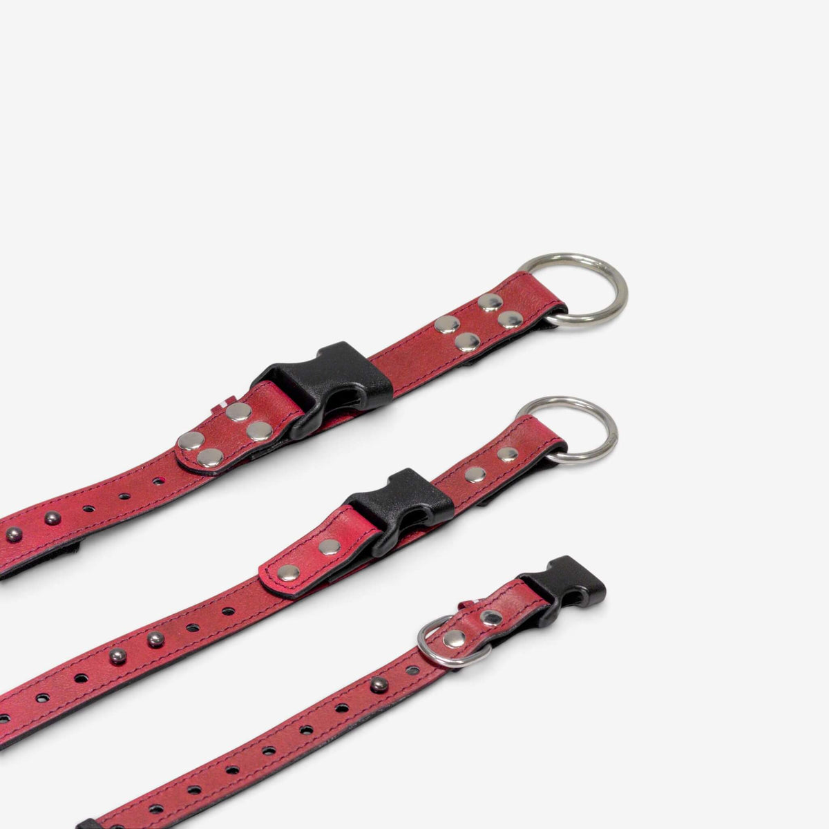ObiDog EasyFit Collar