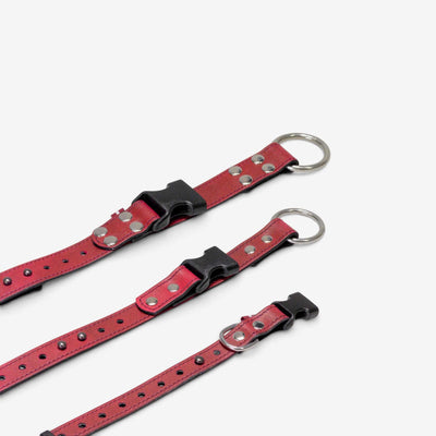 ObiDog EasyFit Collar