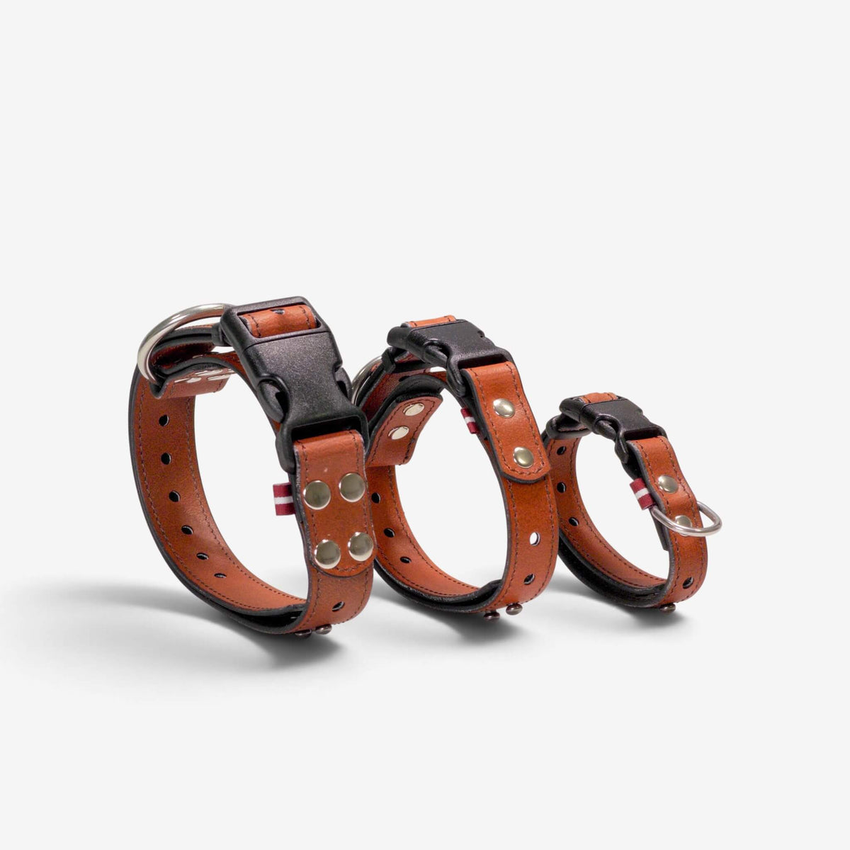 ObiDog EasyFit Collar