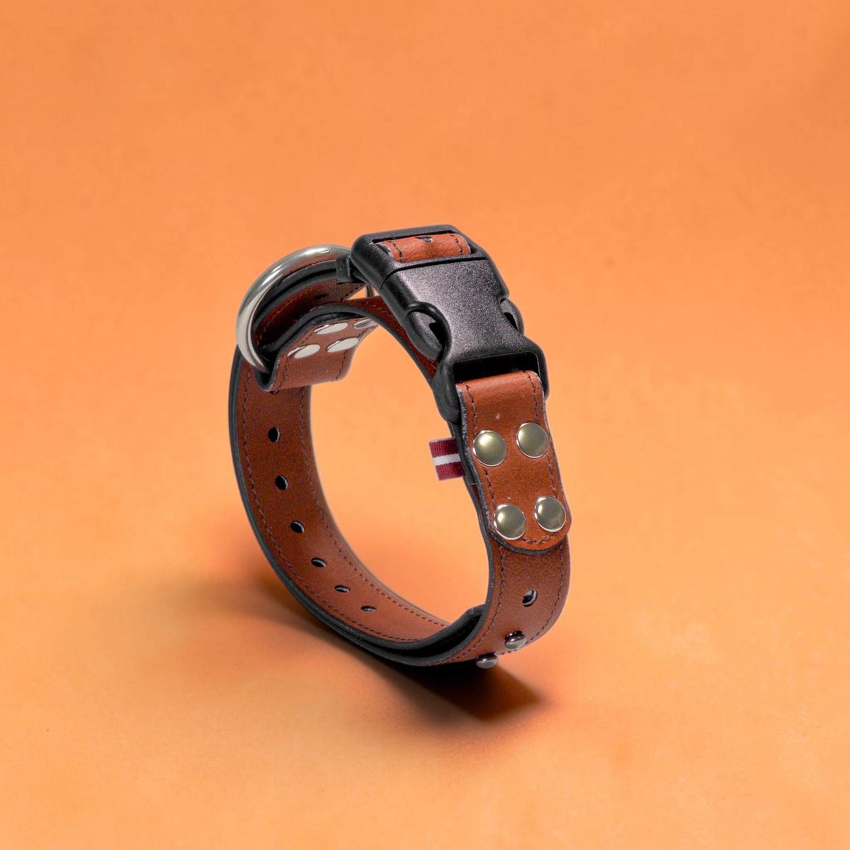 ObiDog EasyFit Collar