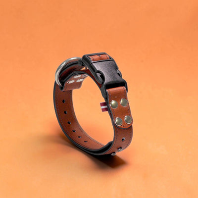 ObiDog EasyFit Collar