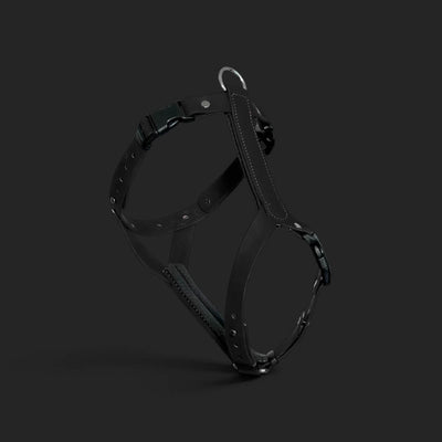 ObiDog EasyFit Harness