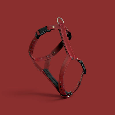 ObiDog EasyFit Harness