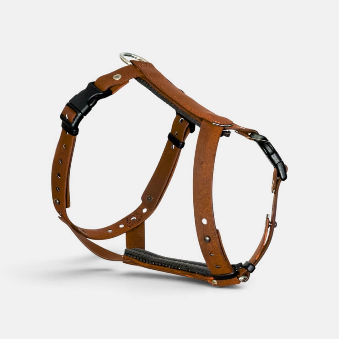 ObiDog EasyFit -valjaat