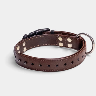 ObiDog EasyFit Collar