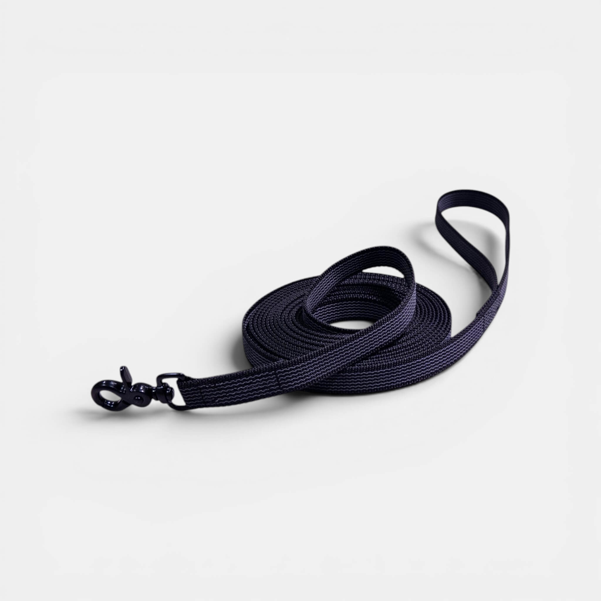 Classic Nylon Dog Leash with Anti-Slip Grip
