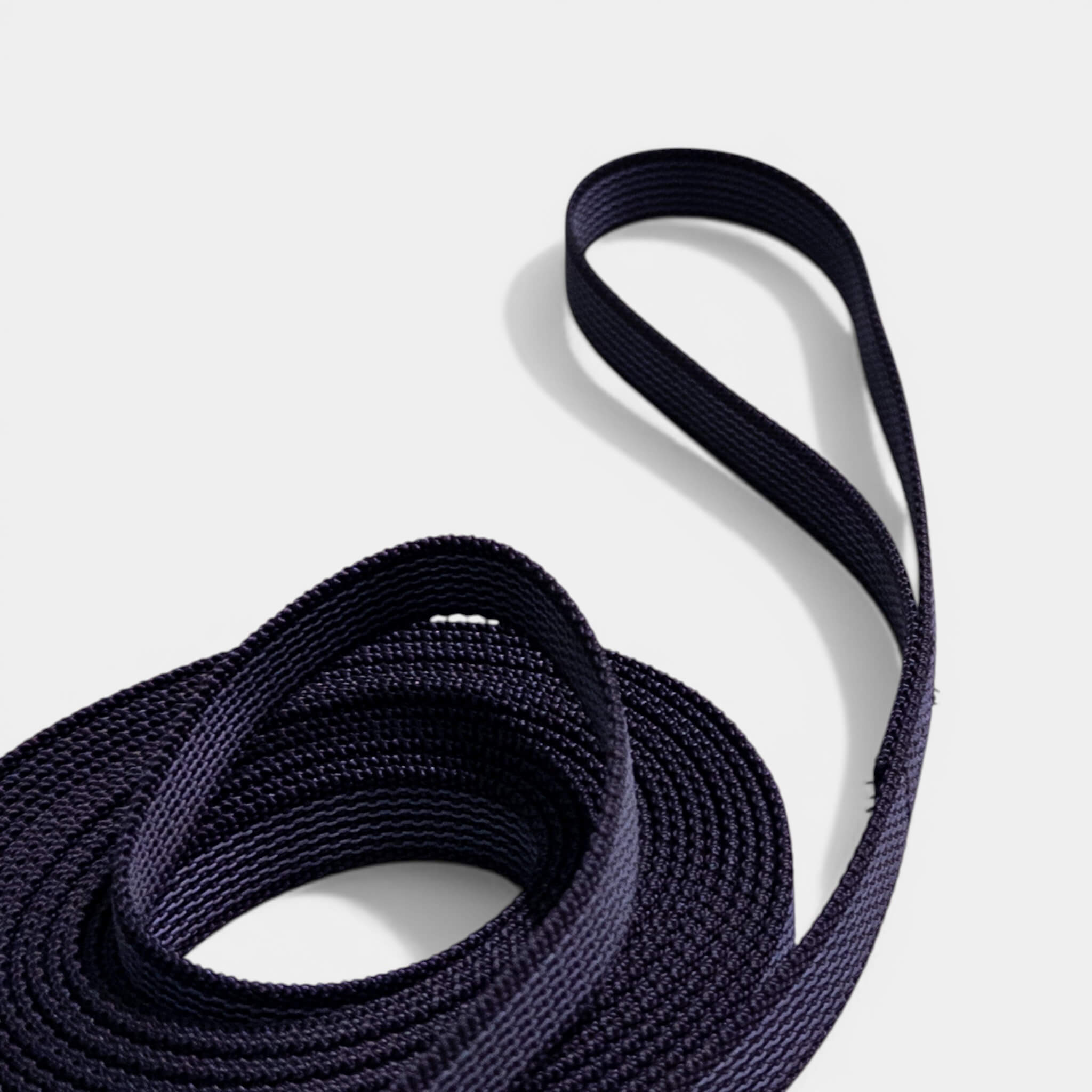 Classic Nylon Dog Leash with Anti-Slip Grip